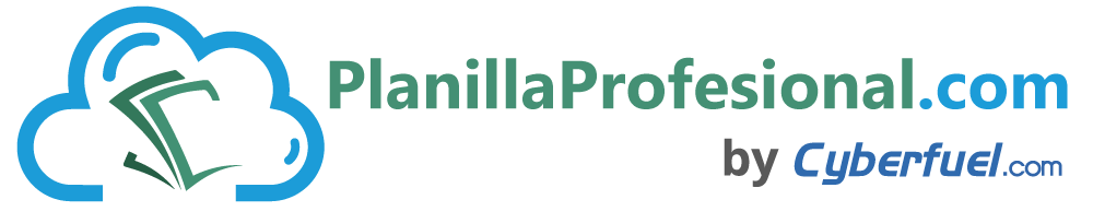 Planilla Profesional